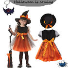 Halloween Witch Fancy Dress Toddler Kids Girl Party Costume Outfit+Hat uk