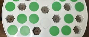 Aerogarden Seed Starter Tray Covers Spacers Keep Algae Down Reusable Set of 25 G - Picture 1 of 4