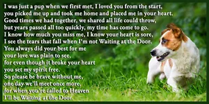 Jack Russell Terrier Dog memorial Fridge Magnet pet loss bereavement gift - Picture 1 of 7