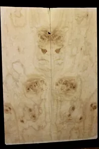 Silver maple, burl / lace figured guitar book matched top. - Picture 1 of 7