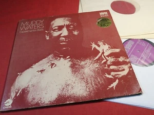 Muddy Waters EXPERIMENT IN BLUES - Chess Bellaphon BLST 6503 Germany 2 LP-Set - Picture 1 of 5