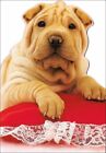 Dog Valentine's Day Card ~ Shar Pei ~ Hugs & Kisses ~ Happy Valentine's Day 