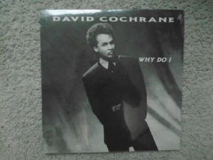David Cochrane Why Do I private label modern soul 12" single still sealed - Picture 1 of 2