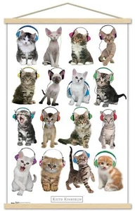 Trends International Keith Kimberlin - Kittens - Headphones Wall Poster, 22.3... - Picture 1 of 5