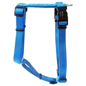 Wolters Dog Harness Soft & Safe Professional Aqua, Various Sizes, NEW - Picture 1 of 4