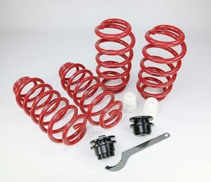 Resortes roscados Eibach 50/25-45mm Audi A5 (8T/B8,07-16) hasta 1130/desde 1131-1240kg - Imagen 1 de 1