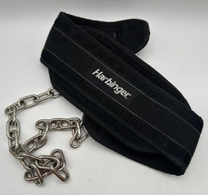 Harbinger Polypropylene Dip Belt with Steel Chain A00 - Bild 1 von 8