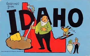 1948 Idaho ID Greetings From Large Letter Chrome 14619-CM.9 Postcard - Picture 1 of 2