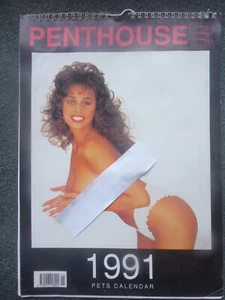 Calendario Glamour 1991. Maria Whittaker, Debee Ashby, Lu Varley, Natalie Jay, etc. - Imagen 1 de 14