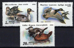 Russia & Soviet Union 6009-6011 MNH Birds Ducks ZAYIX 1024S0096 - Picture 1 of 1