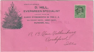 Elgin ILL Pink Cover Illust Advt D Hill Evergreen Specialist (b145) - Picture 1 of 1