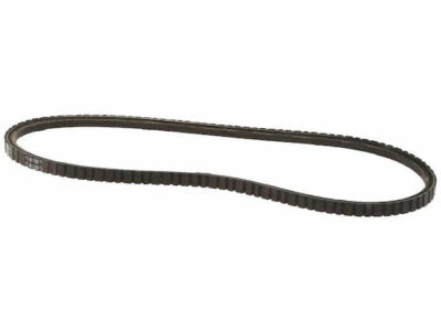 Para BMW 635CSi 1985-1989 Multi Rib Cinturón Dirección Asistida Dayco 61958WD 1986 1987 Foto 1 de 2