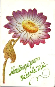 Osceola, Wisconsin Postkarte (1909) Grüße aus... - Bild 1 von 2