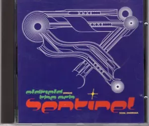 Mike Oldfield & The Orb - Sentinel (3 track CD EP pic disk) (1992 WEA) - Picture 1 of 3
