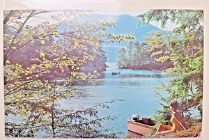 Paradise Bay Lake George New York USA Vintage Colour Postcard - posted 1963 - Picture 1 of 4