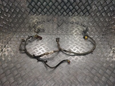 Cableado motor Nissan Cabstar F24 3.0 (2016-2019) 24075-LE00A Foto 1 de 4