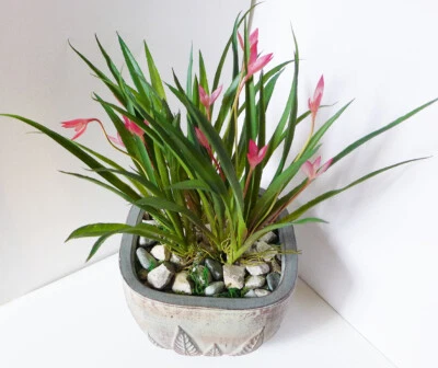 4 Piezas Césped Artificial Flor Roja Orquídea Plástico Hogar Jardín Decoración (94 B) Foto 1 de 4