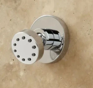 Spray corporal giratorio clásico Signature Hardware - níquel cepillado - Imagen 1 de 2