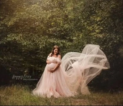 blush maternity dress XL For Maternity Pictures With Train - Image 1 of 2