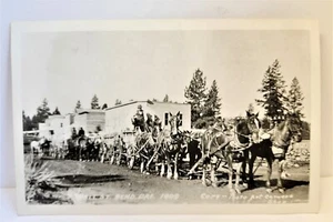 RPPC Bend Oregon 1909 Wall Street Freight Wagon c1950s Repro Art Camera Shop - Picture 1 of 8