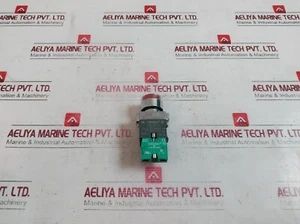 TEKNIC 2ALRF4L Illuminated Flush Actuator 240VAC±20% 500V ITH: 10A 110V, 0.5A - Picture 1 of 7