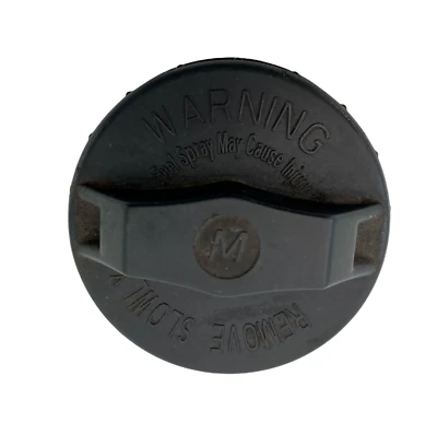 2002 2003 2004 2005 Hyundai Sonata Fuel Tank Filler Gas Cap Assembly OEM - Imagem 1 de 4