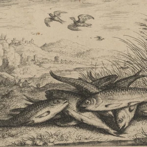 Albert Flamen Fische am Seeufer Tierstudie Barock plattensign Kupferstich 17 Jhd - Bild 1 von 4