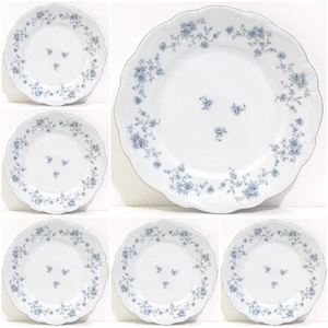 Set of 6 Johann Haviland 10" Ceramic Dinner Plates, Blue Garland Bavaria Germany - Picture 1 of 4