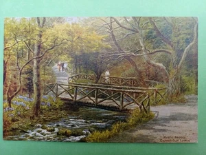 POST CARD SALMON AR QUINTON 2513 RUSTIC BRIDGES, GROUDLE GLEN, ISLE OF MAN - Picture 1 of 2
