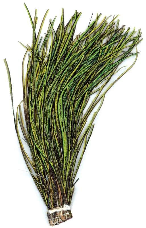 Strung Peacock Flue Feathers Natural - Image 1 of 1