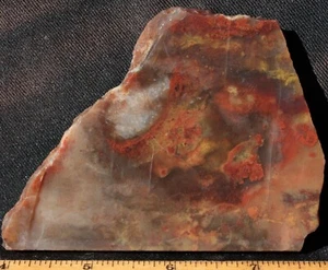 S-333 ~ 4.2oz Rare Flame Agate ~ Brazil - Picture 1 of 10