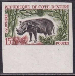 Marfil Coast 1963 Giant Forest Hog 15f Imperf SG 232 MH/* - Imagen 1 de 1