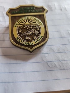 Petrified Forest National Park Junior Ranger Badge PLASTIC - Picture 1 of 5