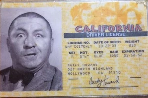 Curly Howard of The Three Stooges Drivers License Souvenir ID Card - Picture 1 of 2