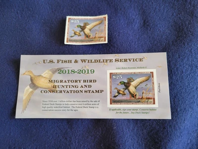 US Federal Duck Stamps 2018- #RW85 & RW85A- Mint OG NH **WELL CENTERED** - Image 1 of 4