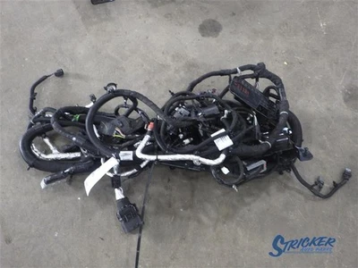 Gmc Sierra 2500 Pickup 2024 Body Wiring Harness 87838442 7770755 8952 - Image 1 of 4