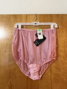 Vanity Fair Lace Brief Panties Nylon Vintage 13001 Glamour Rose Panty NWT Size 8 - Picture 1 of 6