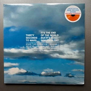 30 Seconds To Mars - It's the End of the World But it's a Beautiful Day - Vinyl - Picture 1 of 3