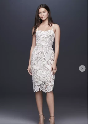 NUEVO Davids Bridal Paisley Encaje Ilusión Superposición Nude Vestido Corto Marfil 20 Foto 1 de 4