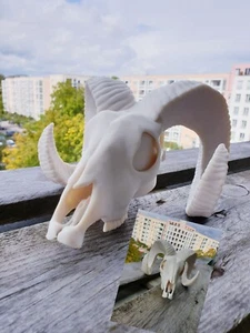 Abdeckkappe AHK DODGE RAM WIDDER SKULL Schutzkappe - MIT DIEBSTAHLSCHUTZ  - Picture 1 of 1