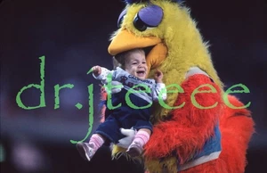 San Diego Chicken SAN DIEGO PADRES - 35mm Baseball Slide - Picture 1 of 1