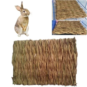 2 Stück Haustiermatte Grasmatten Sicher Essbar Matten Käfige Kauspielzeug für Haustiere Größe 40x28CM - Bild 1 von 12
