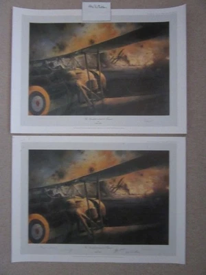 2 x TAYLOR – 'SWORDFISH AT TARANTO'  Signed x 6 (Total) + FLOWN/ SIGNED Fabric - Image 1 of 4