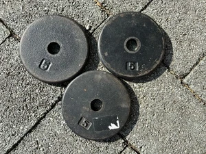 Lot of Three 5 lb Pancake Style Weight Plates - Picture 1 of 2