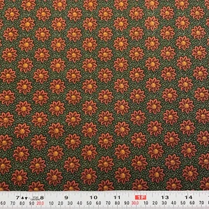 Quilt Club Collection 2004 by Thimbleberries RJR Fabrics Cotton Remnant 22 x 43 - Picture 1 of 2