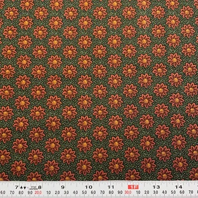 Quilt Club Collection 2004 by Thimbleberries RJR Fabrics Cotton Remnant 22 x 43 - Image 1 of 2