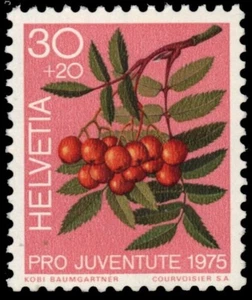 SWITZERLAND B436 - Forest Plants "Mountain Ash" (pa93730) - Picture 1 of 1