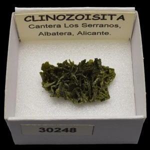 CLINOZOISITA (Los Serranos, Albatera, Alicante) #30248 / Clinozoisite - Imagen 1 de 1