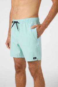 O'Neill Lennox Hermosa 17" Swim Trunks - Men's - Medium / Pastel Turquoise - Picture 1 of 8