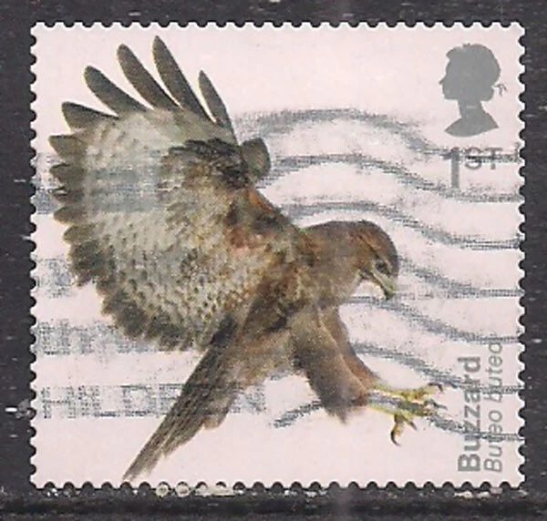 GB 2019 QE2 1st Birds of Prey Buzzard S / A SG 4210  CV £15 ( L702 ) - Image 1 of 1